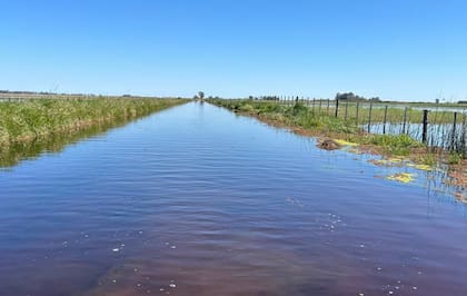 El fallo vuelve a poner en agenda la discusión sobre la eficiencia del gasto en infraestructura rural, un punto sensible para la producción agropecuaria