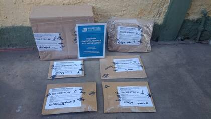 Durante el operativo, se incautaron cuatro celulares, una CPU y documentación de interés para aportar datos a la causa