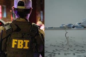 Red en California, Florida y Nueva York ganaba millones robando datos
