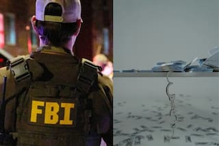 Red en California, Florida y Nueva York ganaba millones robando datos