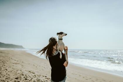 El feedback entre humanos y perros puede ser fundamental para calmar el estrés y la ansiedad