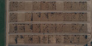 El feedlot tiene 100 corrales