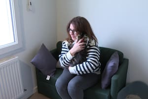 El felino logró reunirse con su familia después de un largo tiempo