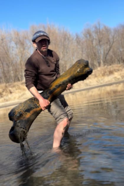 El fémur de mamut colombino fue hallado en el noroeste de Missouri y pesa aproximadamente 79 libras (Facebook/Jason Howery)