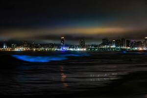 La increíble iluminación azul que en las noches logró el agua en las playas de Mar del Plata