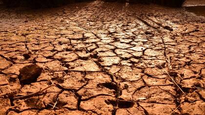 El fenómeno El Niño provoca un aumento de las temperaturas.