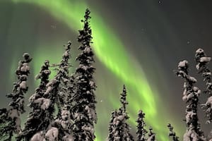 Las increíbles imágenes que dejaron las auroras boreales por una tormenta geomagnética en EE.UU.