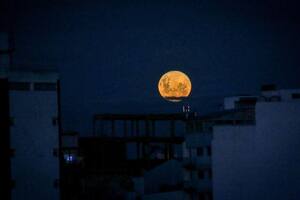 “Superluna”: la primera del año se vio con mayor brillo y tamaño del habitual