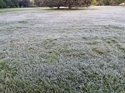 El fenómeno se sintió en diversos lugares, más allá de los cultivos