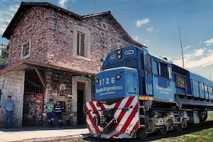 Nota II de III: Los ferrocarriles de carga en la Argentina, ante un cambio histórico