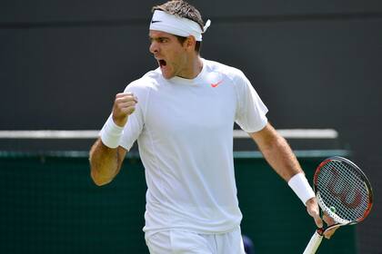 El festejo de Del Potro, que en la segunda rueda se medirá con Levine