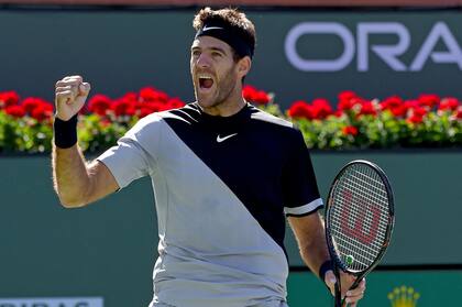 El festejo de Del Potro, que logró su primer Masters 1000