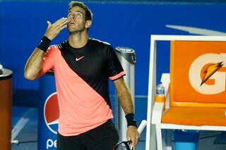 Del Potro, a lo grande: campeón en Acapulco luego de superar a tres top 10