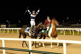 La intimidad del campeón: El Kodigo, el caballo que corre, cura, gana y hace emocionar