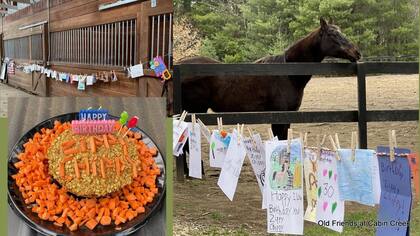 El festejo de los 30 años de Zippy Chippy, con una torta de zanahorias y decenas de dibujos de los chicos que se sumaron a la fiesta del caballo.