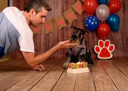 El festejo y fotografía del cumpleaños número 1 de su perro Ragnar fue el comienzo de una nueva forma de vida.