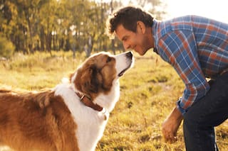 La película que hace llorar a todos en Netflix y dura menos de dos horas