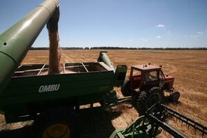 El fin de las trabas para exportador ayudó al trigo