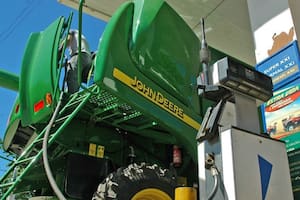 “Tendencia favorable”: la Argentina mejoró la competitividad asociada a la producción de granos, según un informe