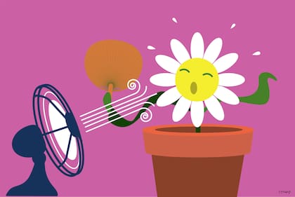 El fin de semana retoma la primavera