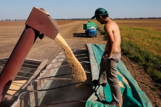 ¿Por qué es importante el financiamiento climático en la agricultura?