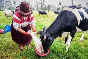 El fiscal detectó una alerta por "transferencias sospechosas".