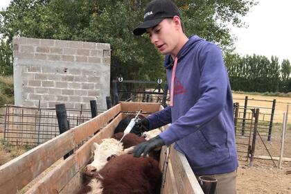 El flamante intendente busca impulsar el agro en su localidad