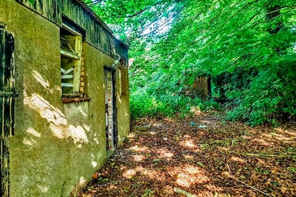 El fondo de la casa con la vegetación en pleno esplendor de la primavera boreal