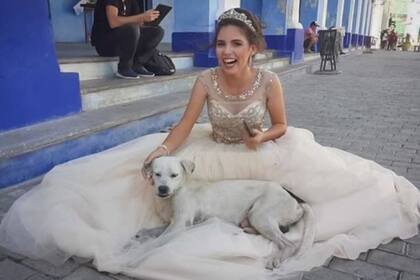 El fotógrafo además pidió hogar para el perrito en situación de calle