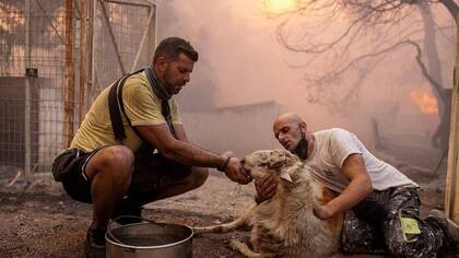 El fotógrafo Alkis Konstantinidis capturó este momento