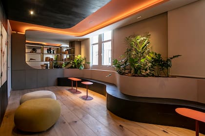 El foyer como espacio de transición a una sala mayor es utilizado frecuentemente como lugar de reuniones. Con formas orgánicas y materiales nobles, este espacio de encuentro fue creado by Patagonia Flooring por Julia Saramaga y Micaela Rabinovich