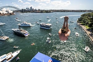 Un curioso duelo de clavadistas en la bahía de Sidney