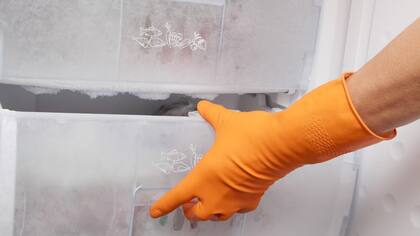 El freezer costó 30 dólares