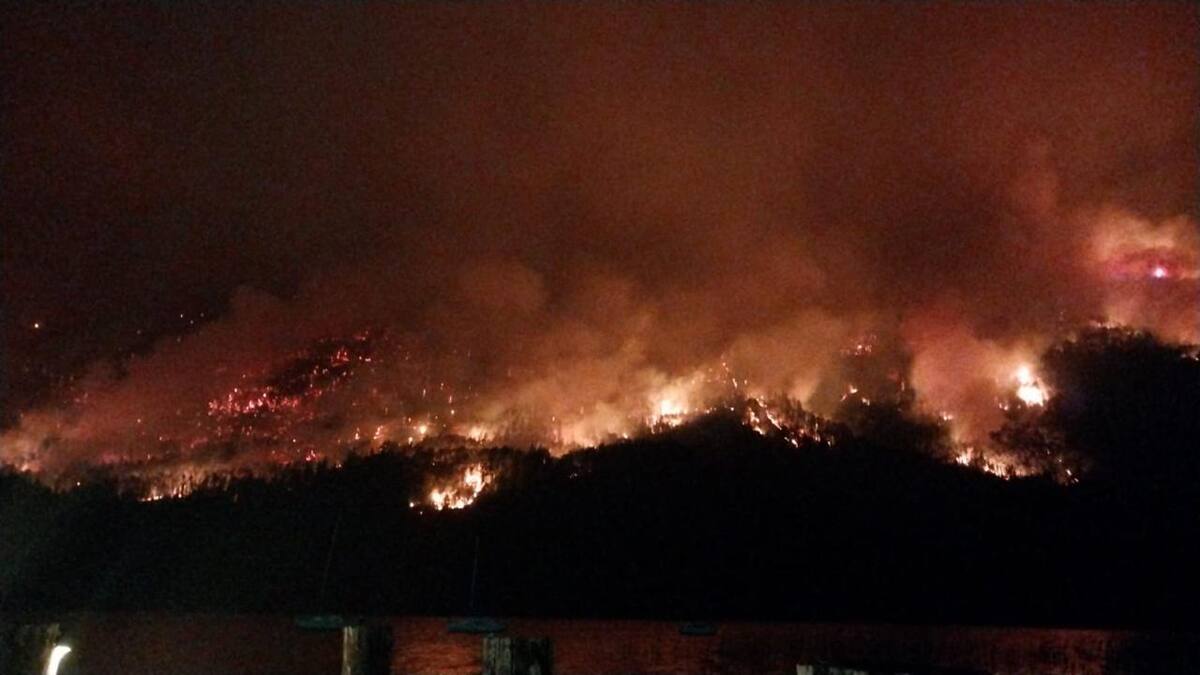 Eles confirmam que o incêndio foi intencional e oferecem uma recompensa de US$ 50 milhões para encontrar os culpados. Eles confirmam que o incêndio foi intencional e oferecem uma recompensa de US$ 50 milhões para encontrar os culpados.