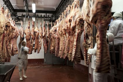 D'Angelo: "Todos los exportadores están trabajando con un promedio del 80 al 85% de la capacidad instalada”