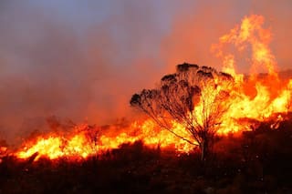 Córdoba: siguen combatiendo el fuego y las llamas avanzan hacia Villa Giardino