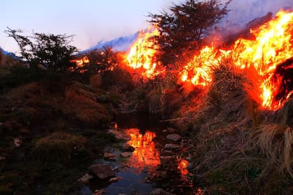Los evacuados están volviendo a sus hogares