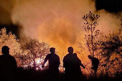 El fuego arrasó más de un millón de hectáreas de la provincia de Corrientes