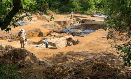 El fuego fue una de las claves para la evolución humana (Foto: Natural History Museum)