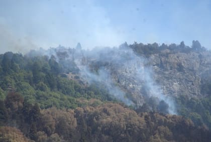 El fuego lleva quemadas más de 10.000 hectáreas en Los Alerces.