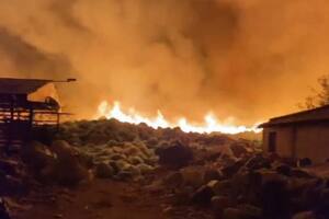 El fuego movilizó a bomberos de varias localidades durante 7 horas.