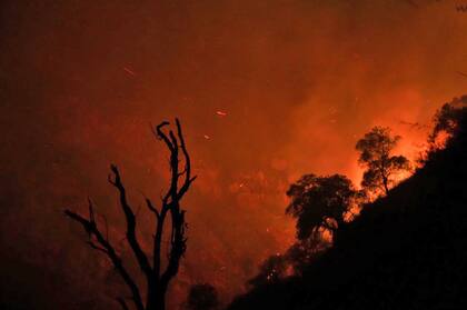 El frente tiene siete kilómetros