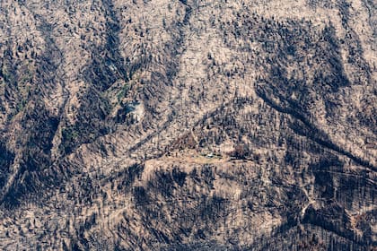 El fuego ya arrasaró más de 30.000 hectáreas