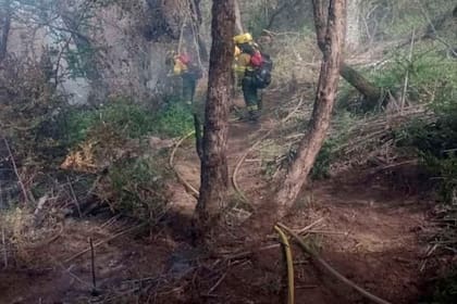 El fuego ya quemó 579 hectáreas en el parque nacional y tierras provinciales