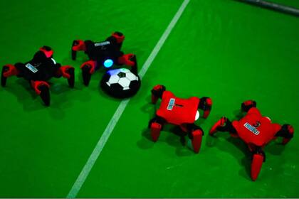 El fútbol también es pasión entre los fanáticos de los robots