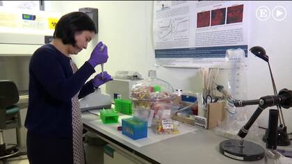 El futuro de la detección del Sida cabe en un chip de medio milímetro