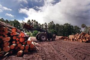 Una empresa de maquinaria forestal está parada porque no le aprueban importaciones