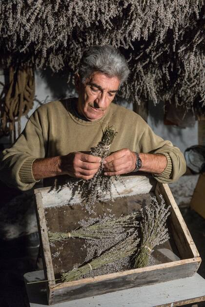 El galpón de acopio.