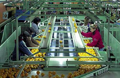 “Adiós a medir el tamaño de las cabezas de ajo que luego se usaban para hacer pasta, o pedirte la habilitación de una fábrica para certificar muestras. Se eliminan las restricciones a la exportación por tipología de fruta (antes solo se permitía la exportación de fruta premium). Se exportará lo que demande el mercado", dijo Federico Sturzenegger