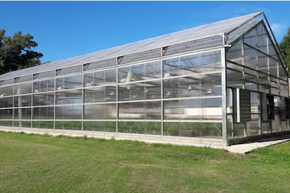 El galpón hoy, donde se gestan las variedades de las semillas